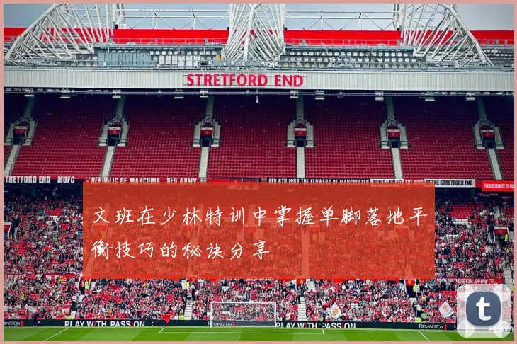 文班在少林特训中掌握单脚落地平衡技巧的秘诀分享