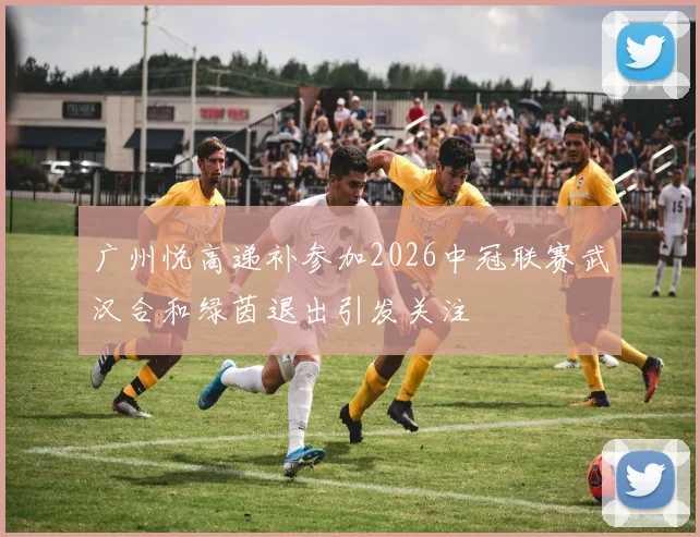 广州悦高递补参加2026中冠联赛武汉合和绿茵退出引发关注